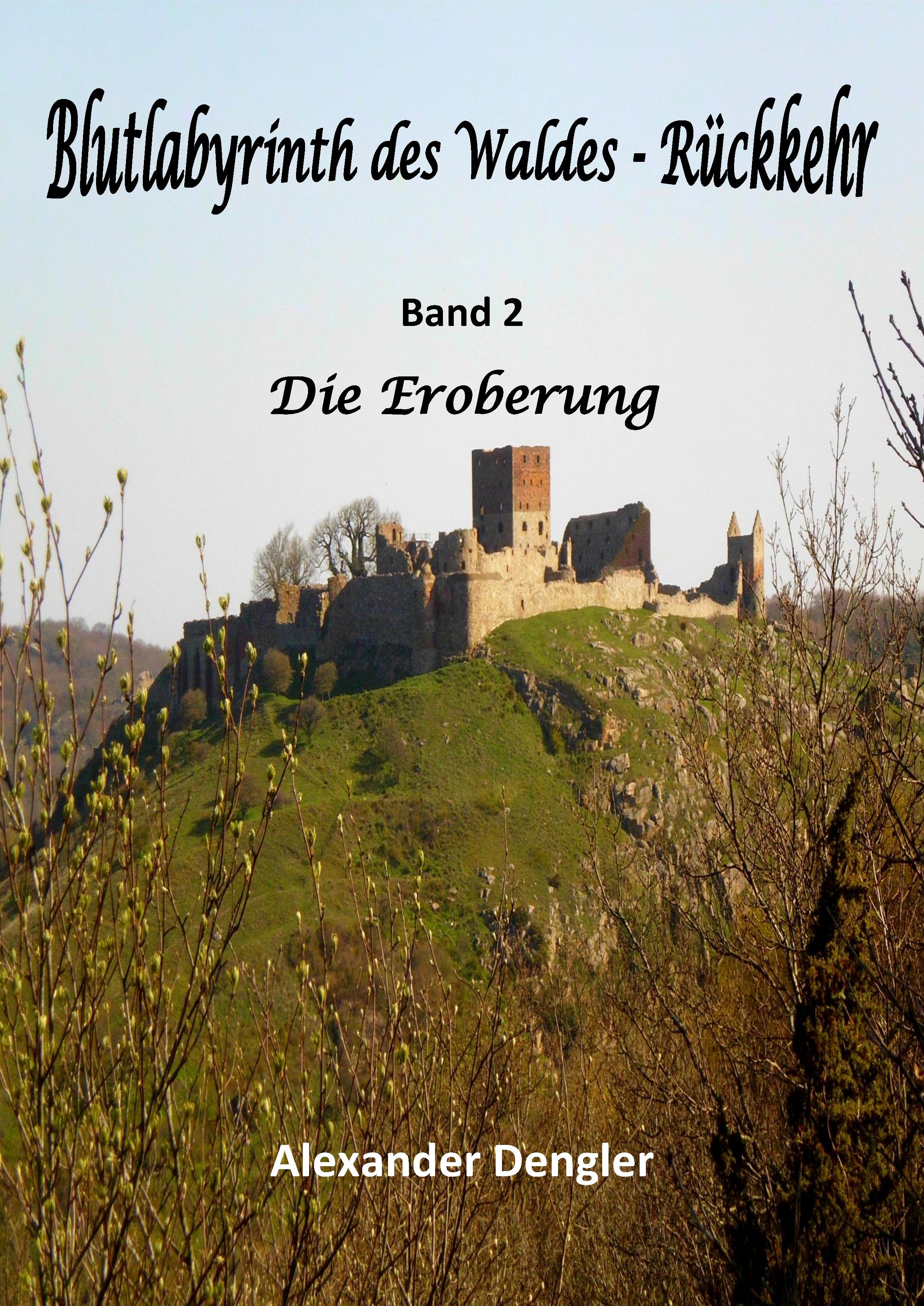 Cover: Blutlabyrinth des Waldes - Rückkehr